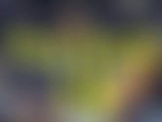 EDERSON VOLTA: FENERBAHÇE JOGA PELA RECUPERAÇÃO CONTRA ANTALYASPOR