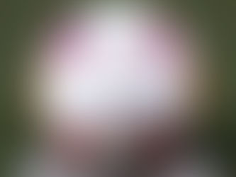 Mapa do Coronavírus indica recomeço do futebol pelos Estaduais