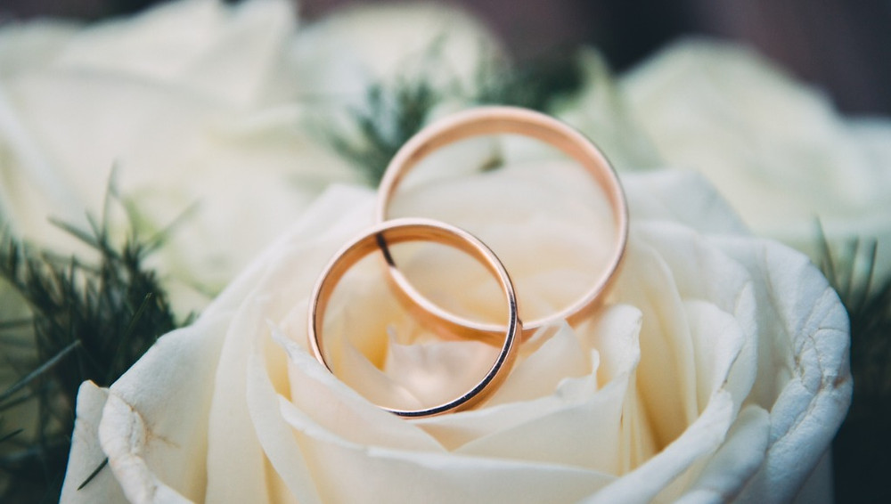 duas alianças douradas de matrimônio sobre uma rosa branca