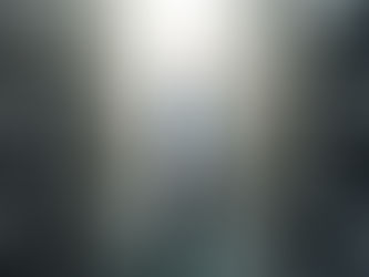 IL LABIRINTO DEL SILENZIO