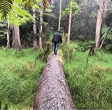koa tree with bill.JPG