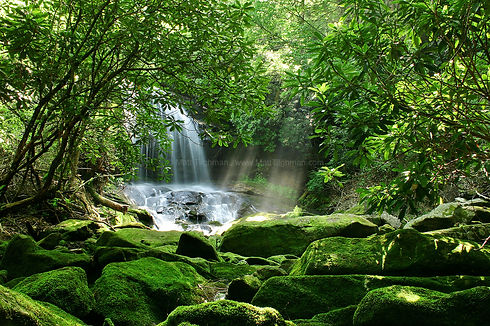 Appalachian-Waterfall.jpg