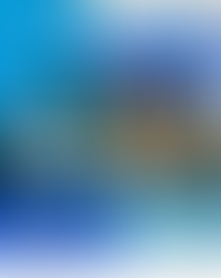 SARICHING CONSTRUCCIONES