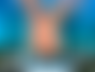 SARICHING CONSTRUCCIONES