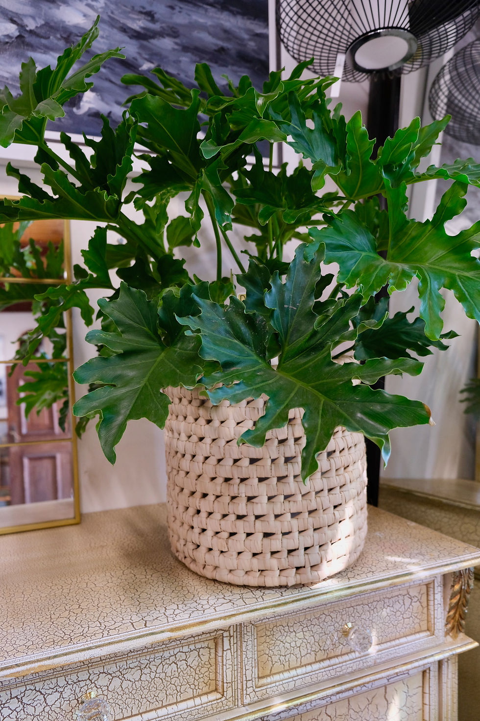 Small Space Gardening: How to Create a Lush Garden in Pots & Containers