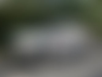 D&S Portable Toilets choose Black Diamond Tint to cool down their trucks