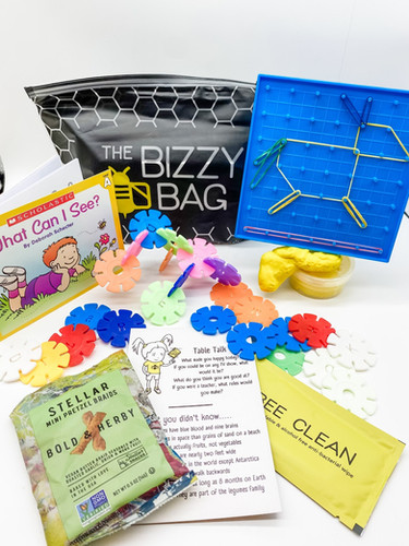 The Bizzy Bag - 5pack | Thebizzybag