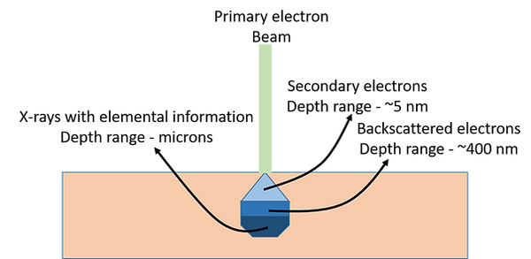 Picture1.png