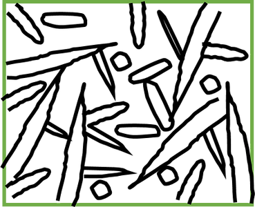 Picture2.png