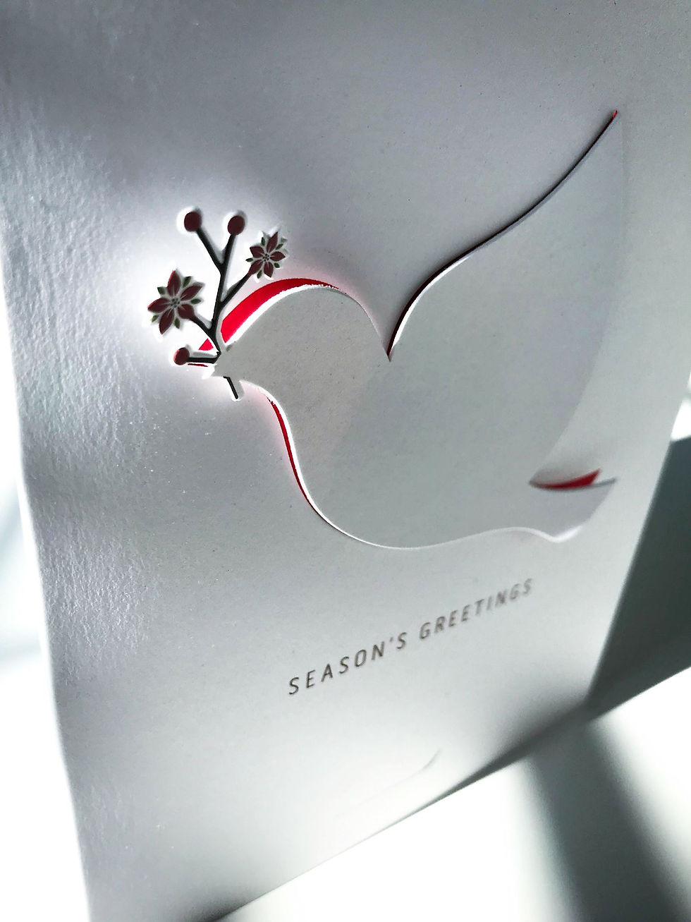 FLEXJET CLOSEUP DOVE CARD2.jpg