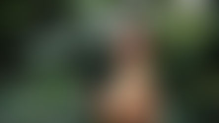 IWA: Get Your Opportunity in Business