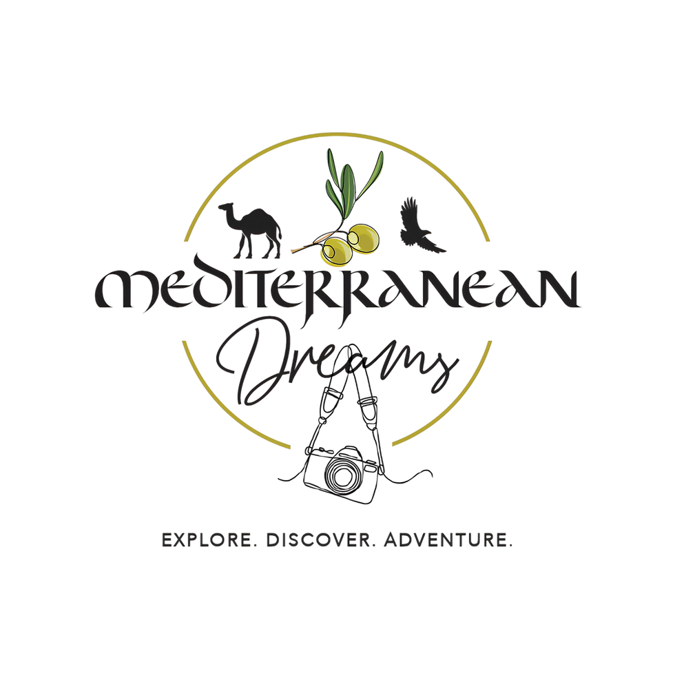 Medirerranean logo.png