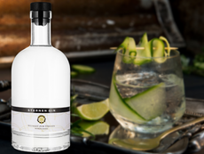 Neu: Sternen Gin – Schweizer Handwerkskunst im Glas