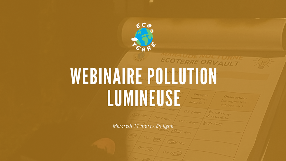 Webinaire pollution lumineuse