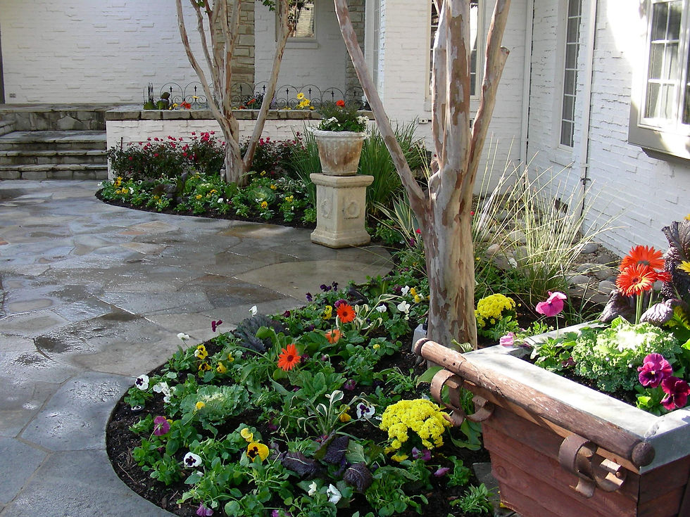 Flowers in Landscaping