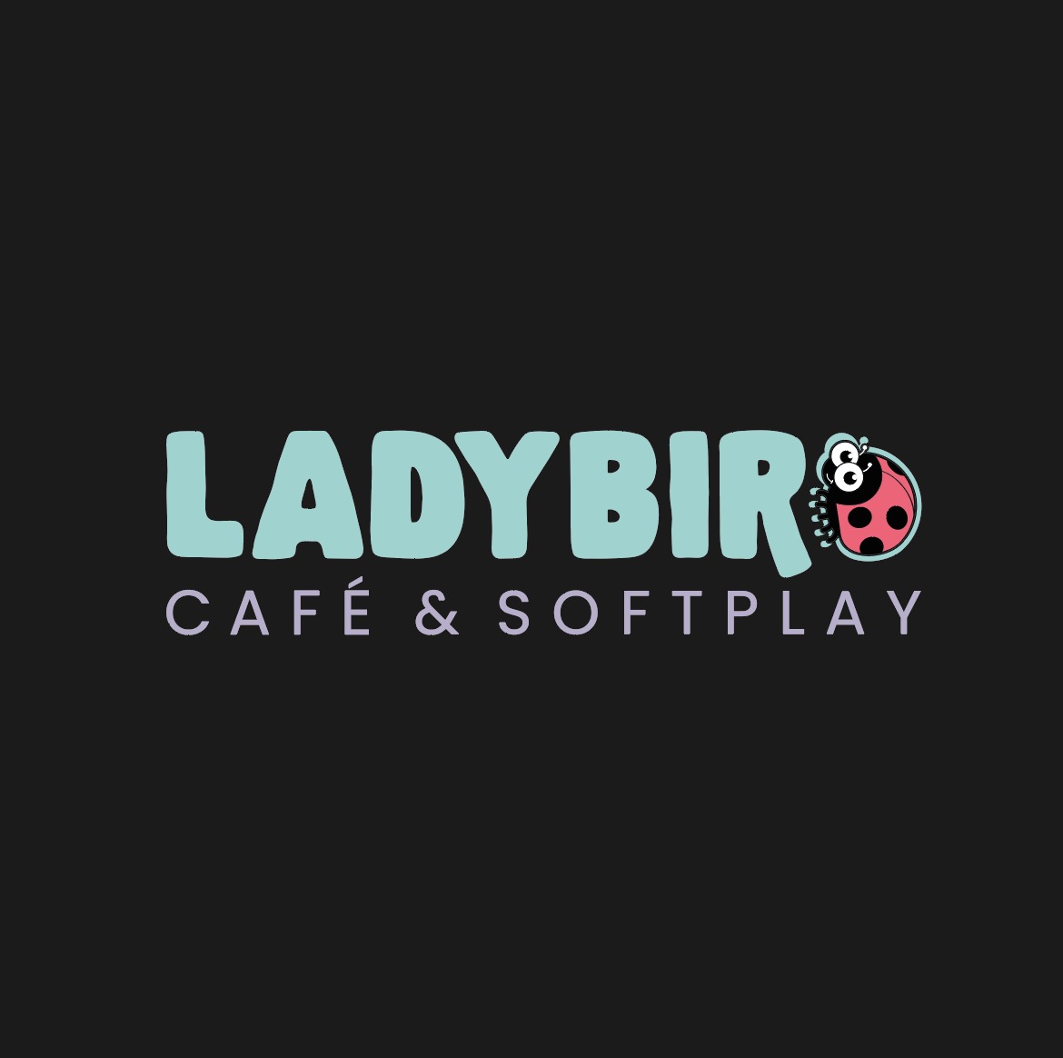 Ladybird Softplay