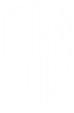 Logo Bigmo