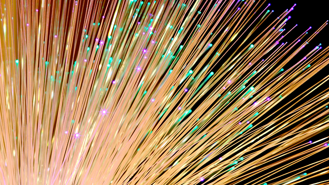fibra 2.png