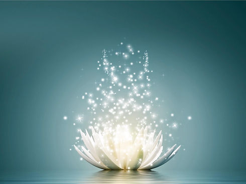 lotus flower .JPG