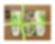MYTHOS ALOE gift set: Hand Cream, Body Milk, Loofah