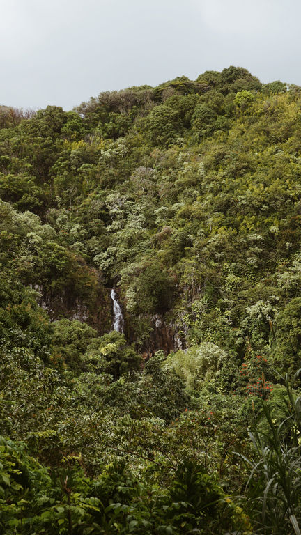 3AF108CF-FABA-4B04-8F86-2F08CECAC7DC