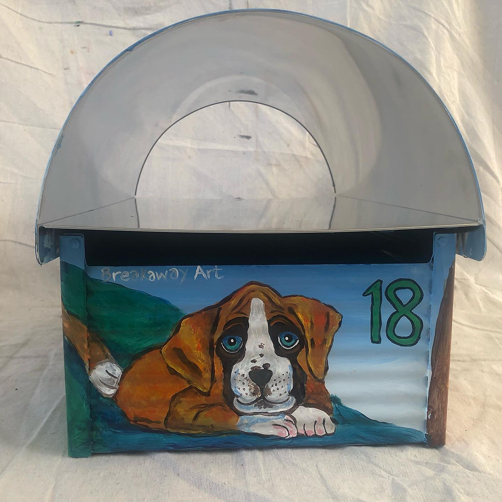 Boxer 4