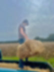 IMG_1302.jpeg