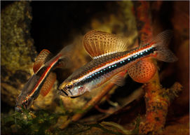 4 Just showing off 104.jpg