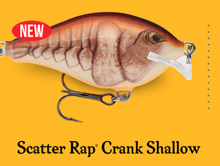 Rapala introduces the Scatter Rap Shallow