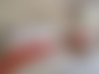 GREENWICH MANOR HOUSE: GUEST WING ZEN