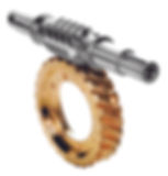Globoid Worm Gear