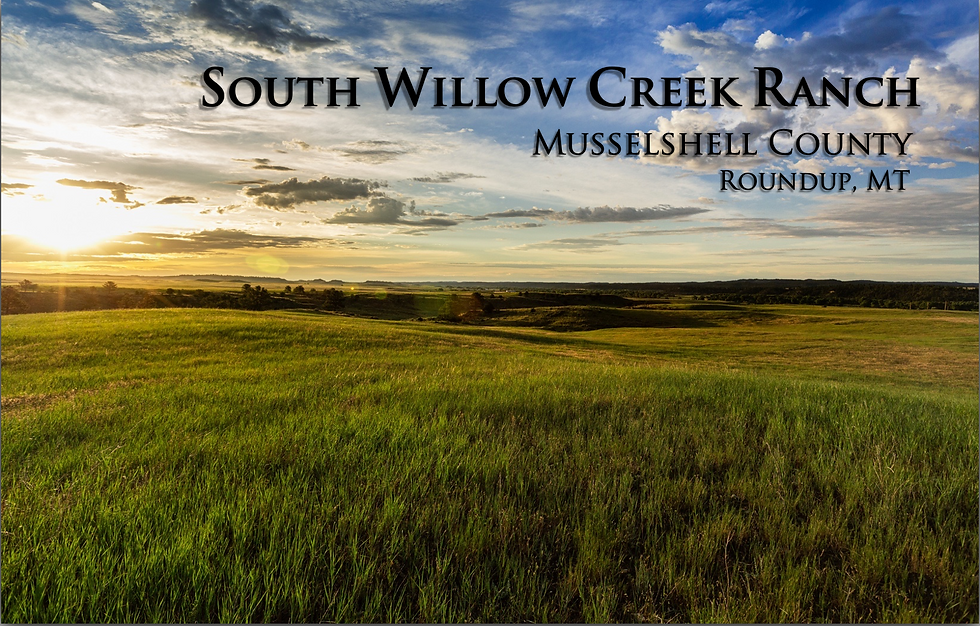1 South Willow Cover