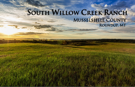 1 South Willow Cover .png