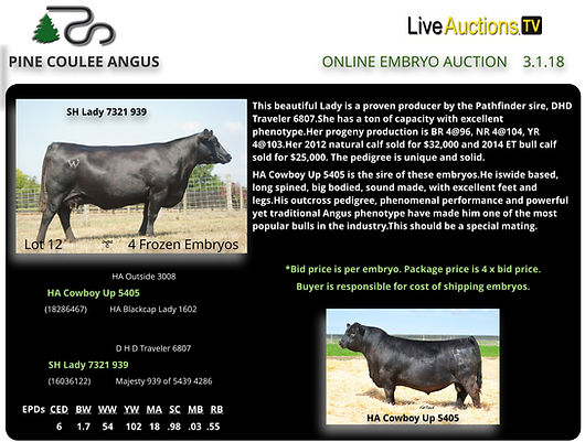 angus emryo sales