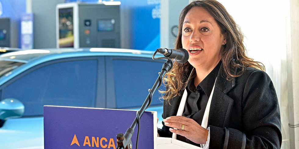 Ministra de Industria, Energía y Minería de Uruguay, Fernanda Cardona