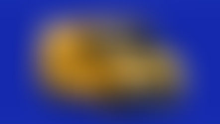 Utilitario Mercedes-Benz Sprinter, celebra sus primeros treinta años