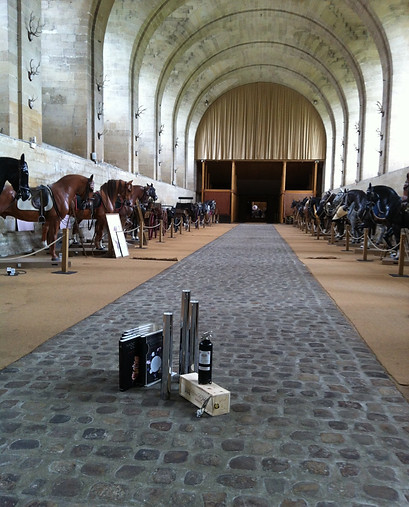 sabrina iphone 15.04.13 1461.JPG