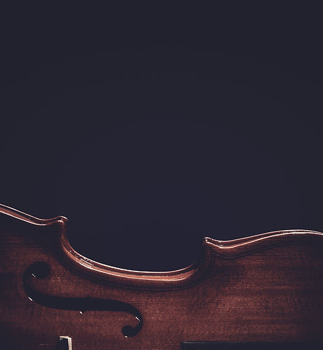 close-up of a violin showing its curves