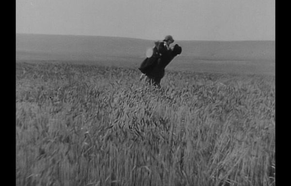 CG-KateLem-InWheat.jpg