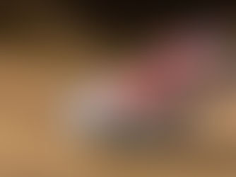 HARRIS BACK TO LEAD TIGERS