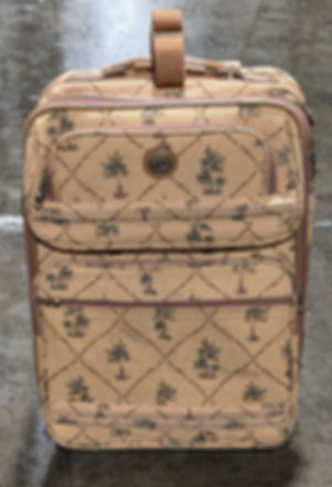 ST-RF- Palm Tree Suitcase