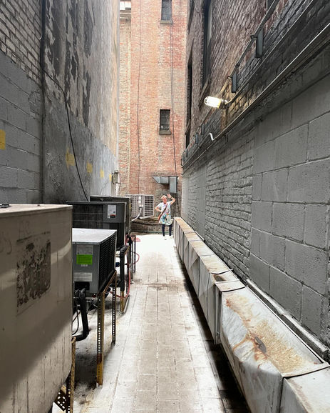 backyard near central park
NYC