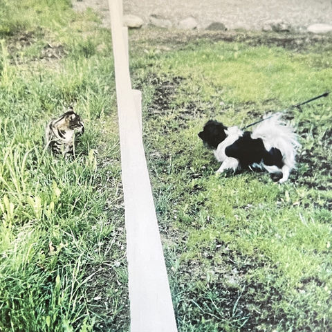 Utstilling ved Orkdal kunstforening mai 2024