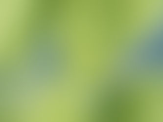 年末年始休診のお知らせ