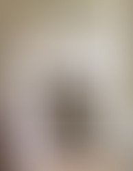 Express your design point of view with antlers