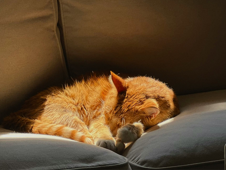 Die Sache mit dem Burnout