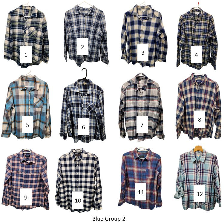Blue Flannel Group 2- Choose Shirt, Design & Bleach