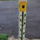 Thumbnail: SunFlower Garden Peace Pole Hand Painted with Solar Ligh