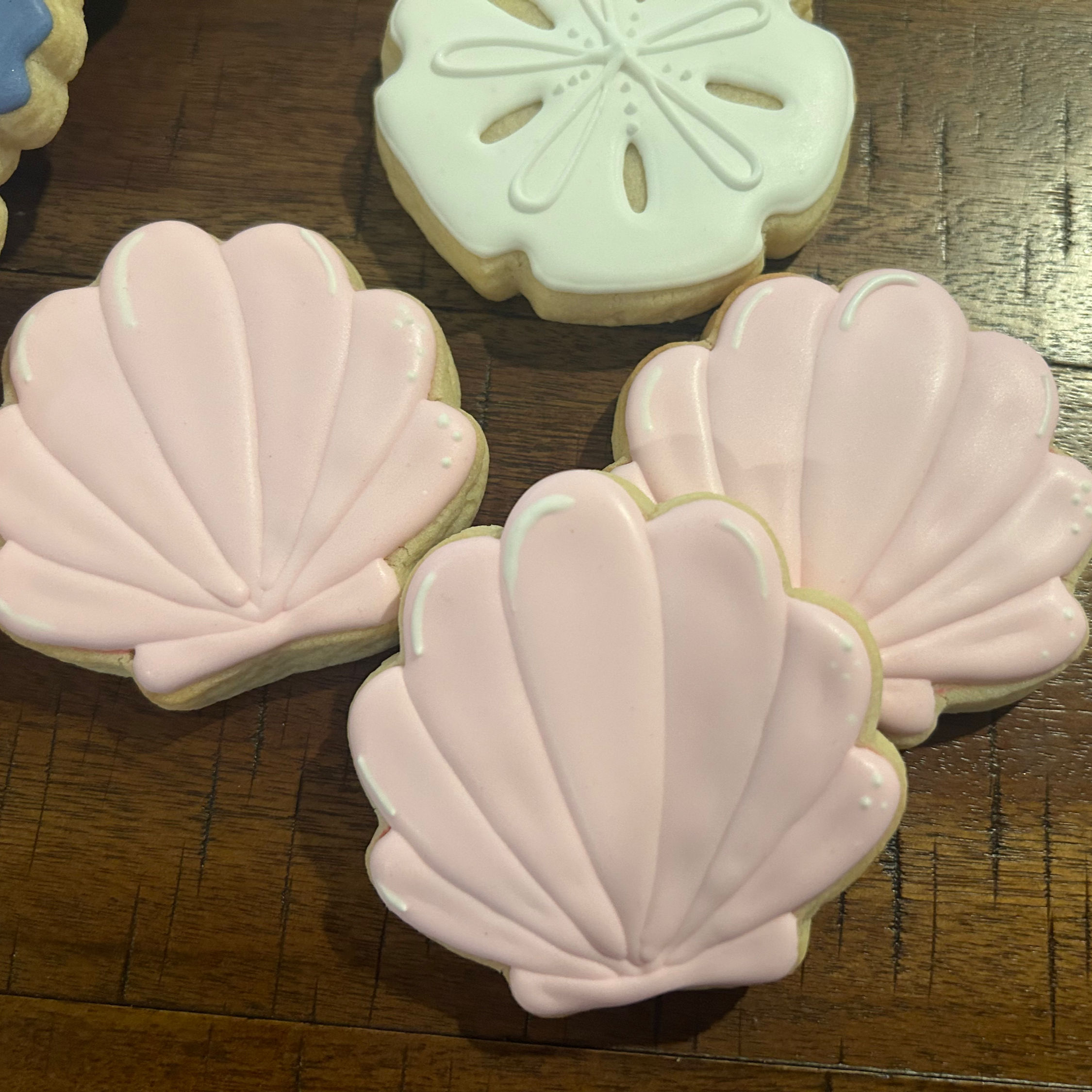 6 Sea shell cookies