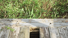 Screenshot 2025-12-20 162733.png